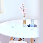 Apartmenthaus Am Tegernsee - Mit Küchenzeile Und Mit Bus Erreichbar Apartamento