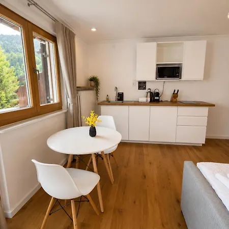 Apartmán Apartmenthaus Am Tegernsee - Mit Kuechenzeile Und Mit Bus Erreichbar Bad Wiessee